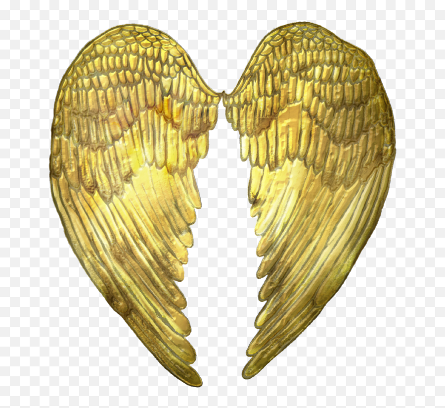 Short Long Everyday Angel Wing Kaftan - Long Png,Dn Angel Icon
