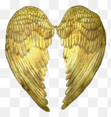 Short Long Everyday Angel Wing Kaftan - png