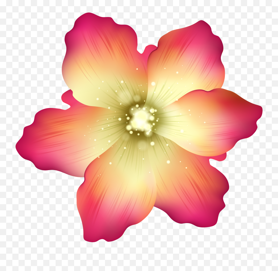 Picture - Desert Flower Png,Flowers Png Transparent