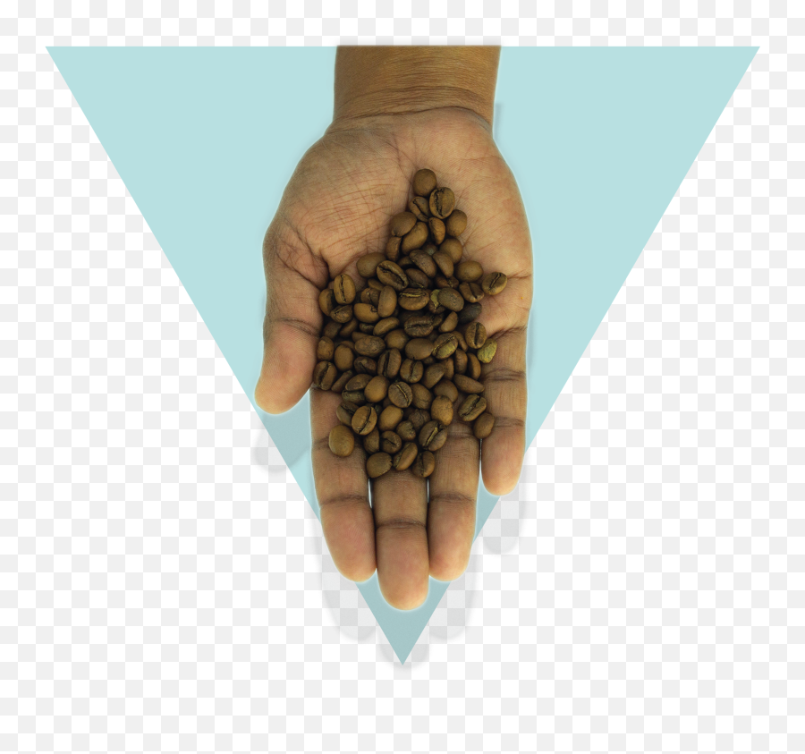 Hopecrop Specialty Coffee Subscription - Language Png,Arrived Icon