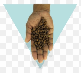 Hopecrop Specialty Coffee Subscription - Language png