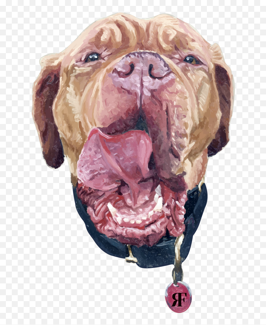 Rosie And Franku0027s Raw Meals For Dogs - Canine Tooth Png,Drooling Icon