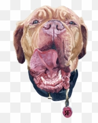 Rosie And Franku0027s Raw Meals For Dogs - Canine Tooth png