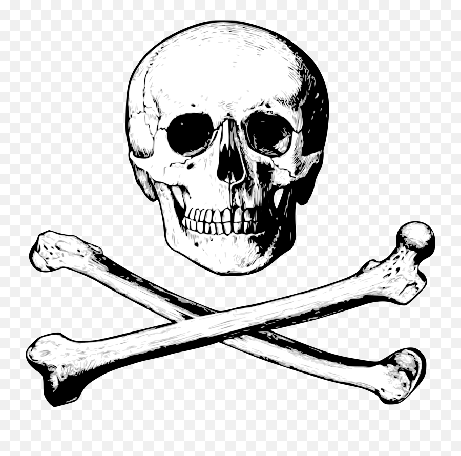 Fileskull And Bones 02svg - Wikimedia Commons Addams Family Poison Bottle Label Png,Skull And Bones Icon