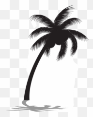 Palm Tree Silhouette Png Images Download - Clip Art Coconut Tree Png