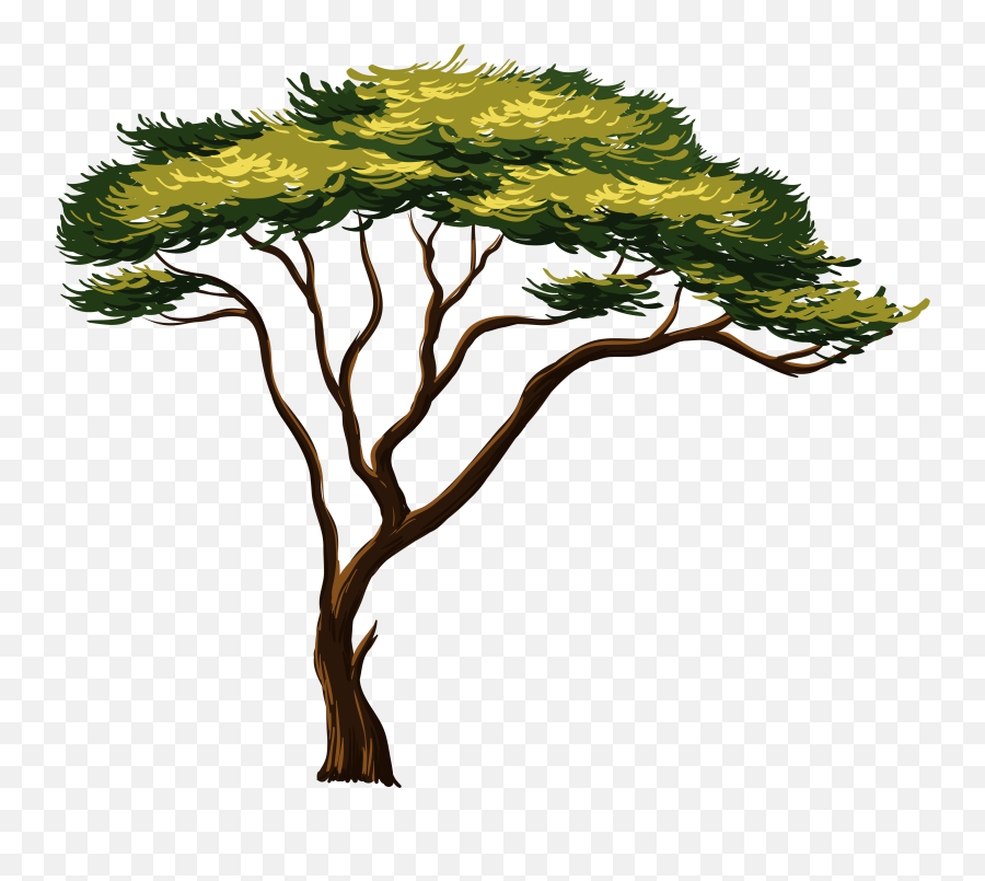 Library Of Strong Tree Vector Free Png Files - Clipart African Trees,Tree Canopy Png