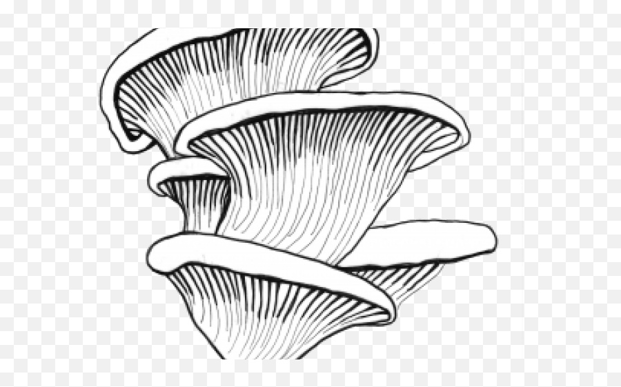 Oyster Mushroom Clipart Png - Oyster Mushroom Black And White,Mushroom Png