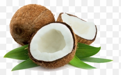 Download Virgin Coconut Oil - Vitamin E And Coconut Oil For Hair Png,Coconut Png