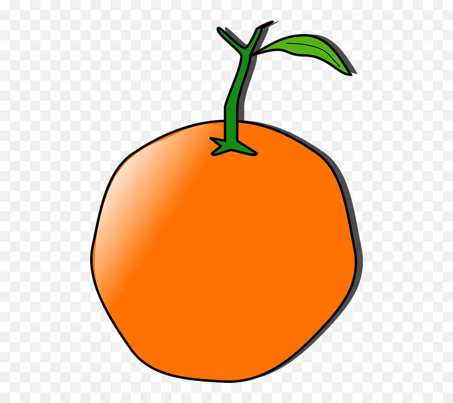 Orange Fruit Tangerine - Free Vector Graphic On Pixabay Orange Clip Art Png,Orange Fruit Png