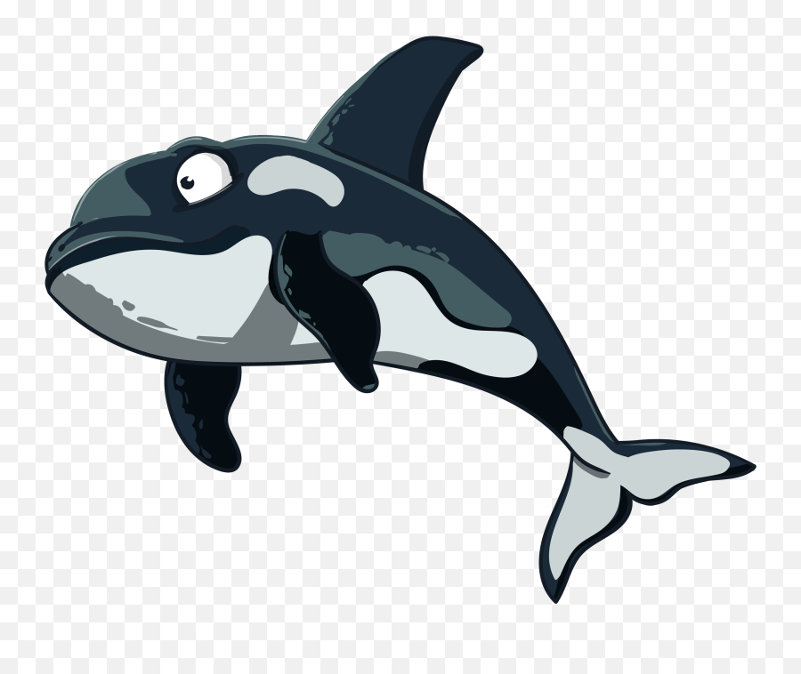 Orca Kit Dolphin - Orca Logo No Background Png,Orca Png