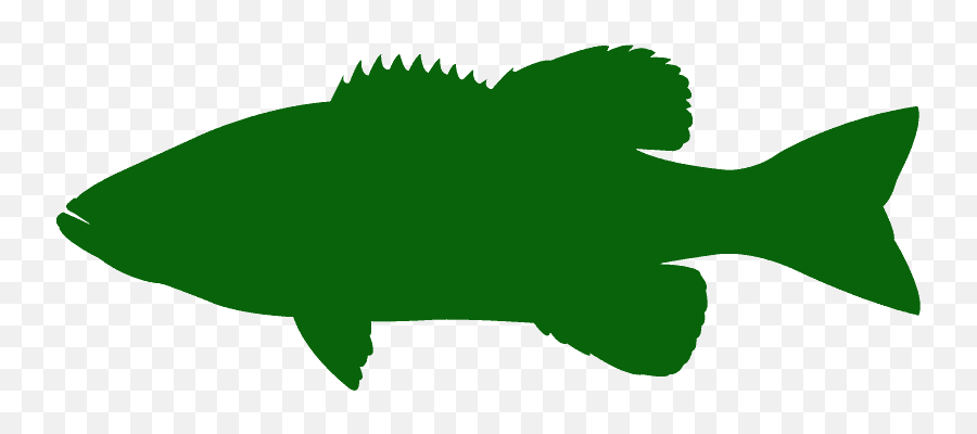 Bass Fish Silhouette - Free Vector Silhouettes Creazilla Bass Silhouettes Png,Bass Fish Png
