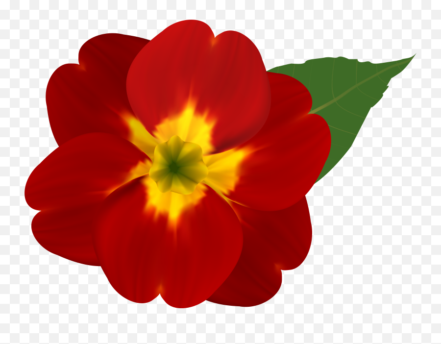 Download And Yellow Flower Png Image - Red Flower Free Png,Red Flowers Png