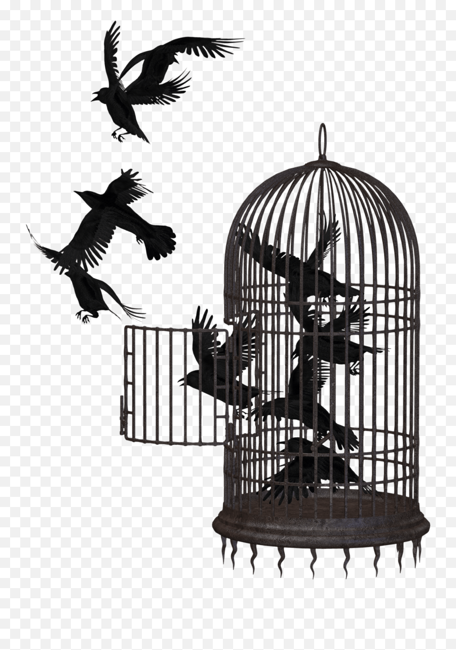 Download Cage Bird Crow Png Image For Free - Bird In A Cage Png,Crow Transparent