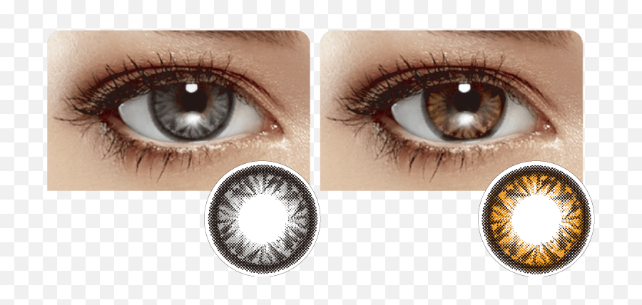Miacarecontact Lenses - Miacare Monthly Contact Lens Png,Brown Eyes Png