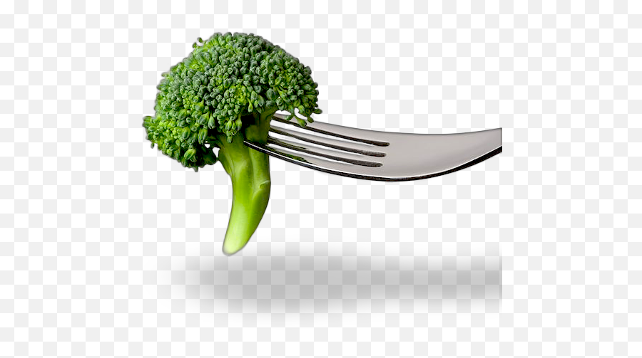 Preconceive - Fork Broccoli Png,Brocolli Png