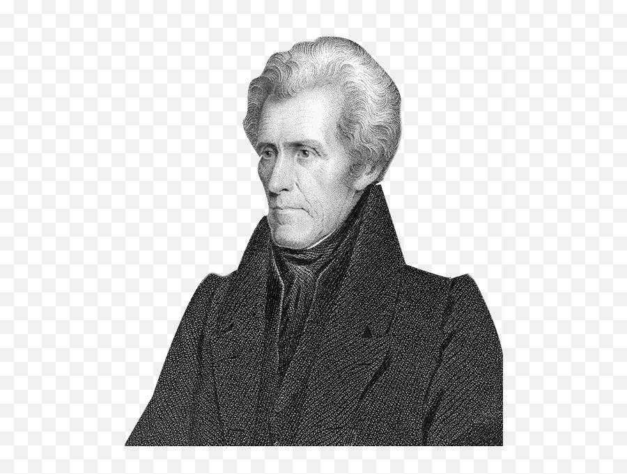 Jackson Tried To Save His Wifes Honor - Andrew Jackson Png,Andrew Jackson Png