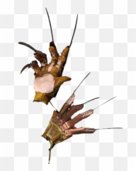 A Nightmare - Freddy Krueger Glove Replica 1984 Film Nightmare On Elm Street Glove Png,Thanos Glove Png