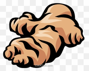Ginger Root Royalty Free Vector Clip Art Illustration - Ginger Clipart Png,Ginger Png