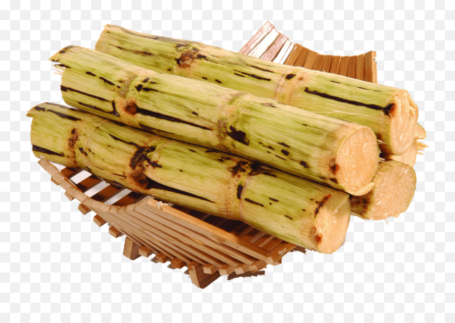 Sugar Cane - Sugarcane Png,Sugar Cane Png