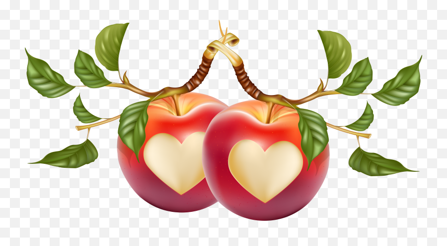 Apple Vector Transprent Png - Apple Fruit Cutting Art,Macbook Hearts Png