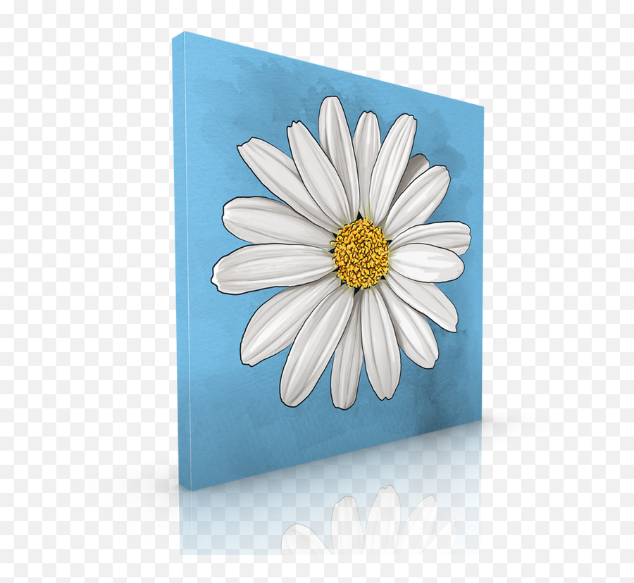 Download White Daisy - Lovely Png,White Daisy Png