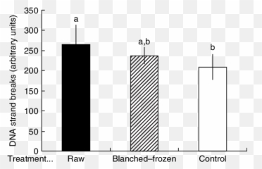 The Effect Of Raw And Processed Broccoli - Plot Png,Dna Strand Png