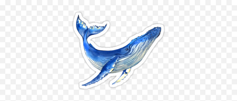 Watercolor Whale Sticker - Watercolor Whale Sticker Png,Whale Transparent