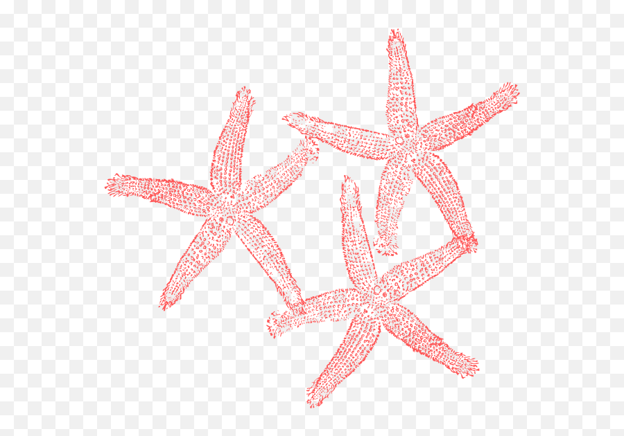 Coral Starfish Clip Art - Coral Starfish Clipart Png,Starfish Clipart Png