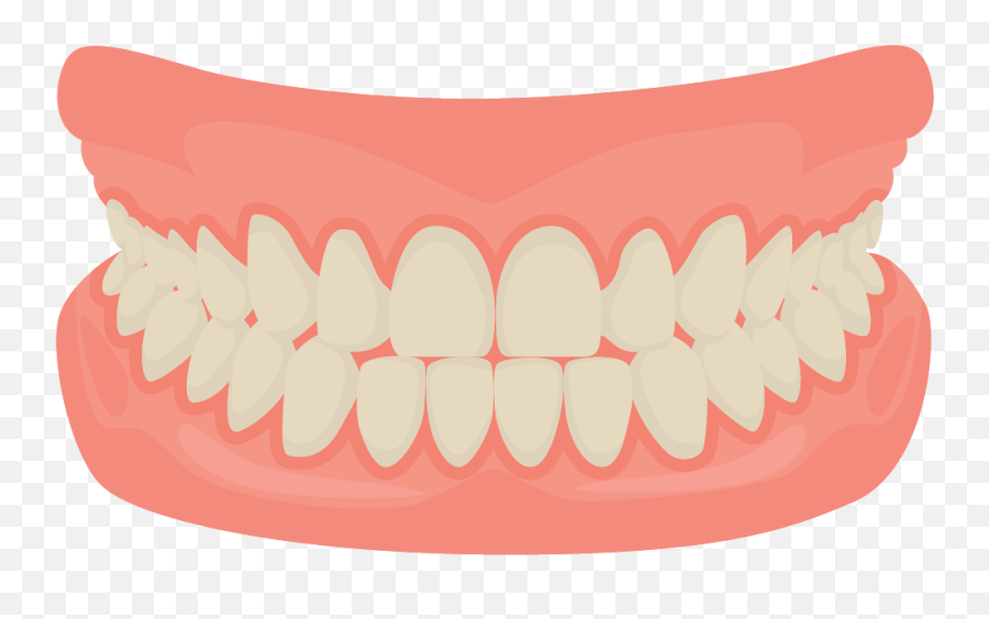 Human Tooth Smile Mouth Dentistry - Vector Cartoon Mouth Did You Know Dental Facts Png,Smile Teeth Png