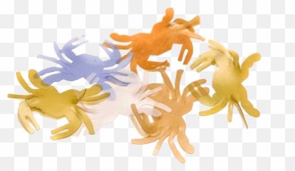 Hyper Flex Crabs - Fly Tying Crab Legs Png,Crab Legs Png