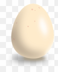 80 Free Chicken Egg U0026 Vectors - Solid png