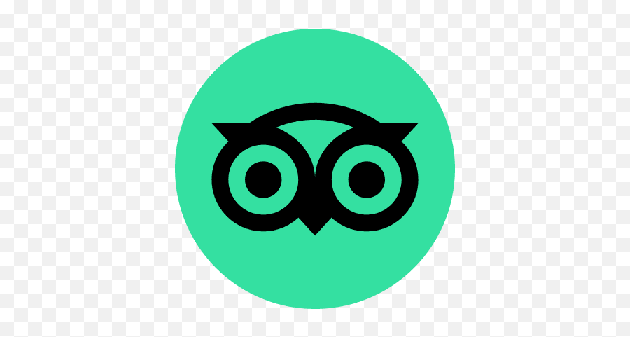 Tripadvisor Icon Png And Svg Vector Free Download - Tripadvisor Logo Png,Development Icon Vector
