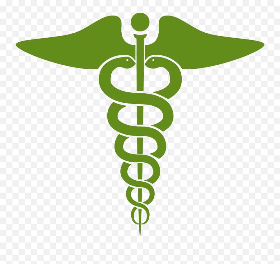 Healthcare 2019 Trends - Caduceus Medical Symbol Green Png,Economies Of Scale Icon