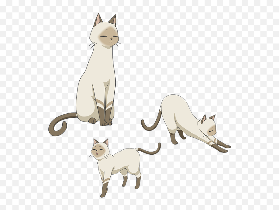 Flying Witch Anime Cat Png Image - Flying Witch Anime Cat,Anime Cat Png