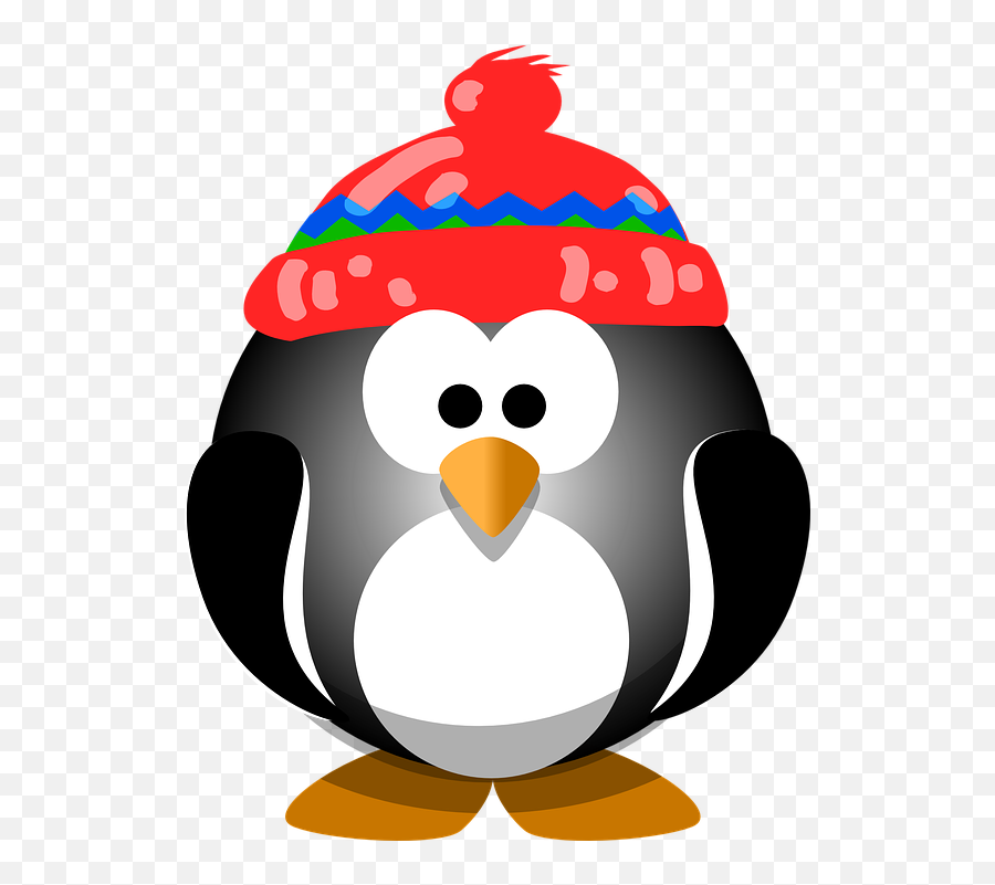 Free Photo Penguin Cute Hat Winter Animal Cold Bird - Max Pixel Cartoon Penguin In A Santa Hat Png,Cute Penguin Icon