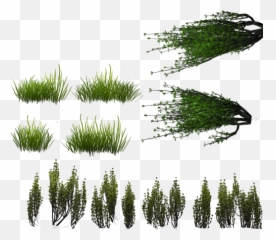 Mountain Lake - Vegetation Sprite png