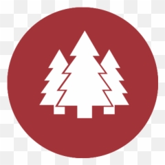 Adventure U2022 Mohawk Day Camp - Scalable Vector Graphics Png,Adventure Icon Transparent