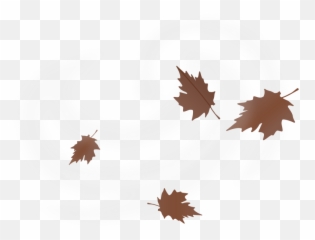 Free Clipart Weather Icon - windy gnokii Leaf In Wind Transparent png