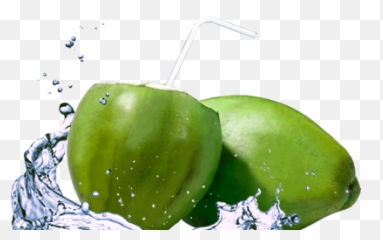 Coconut Water Transparent Png Clipart - Agua De Coco Banner,Coconut Png