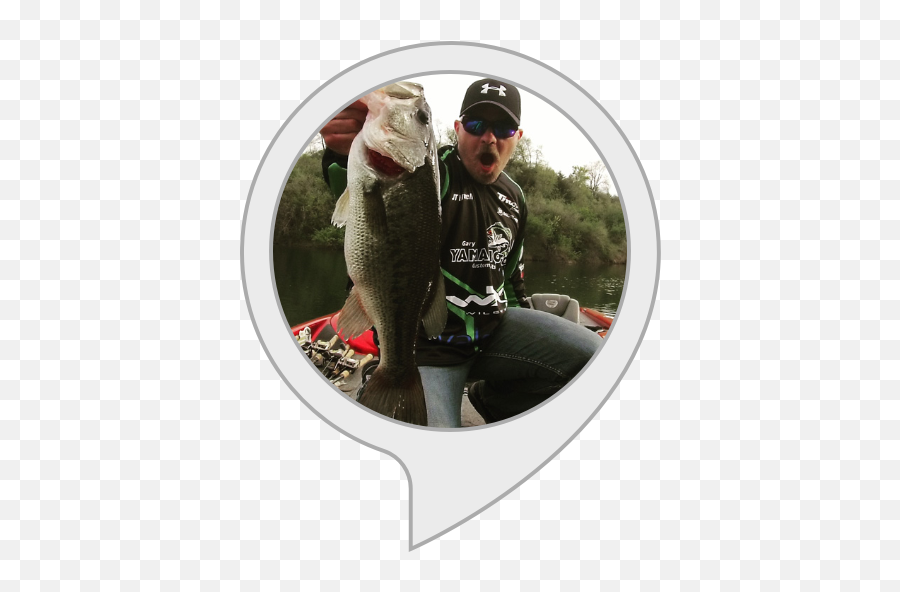 Amazoncom My Bass Fishing Tips Alexa Skills - Pull Fish Out Of Water Png,Bass Fish Png