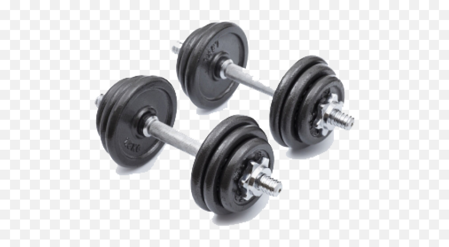 Download Dumbbell Png Image With No - Weights Transparent Png,Dumbbell Png