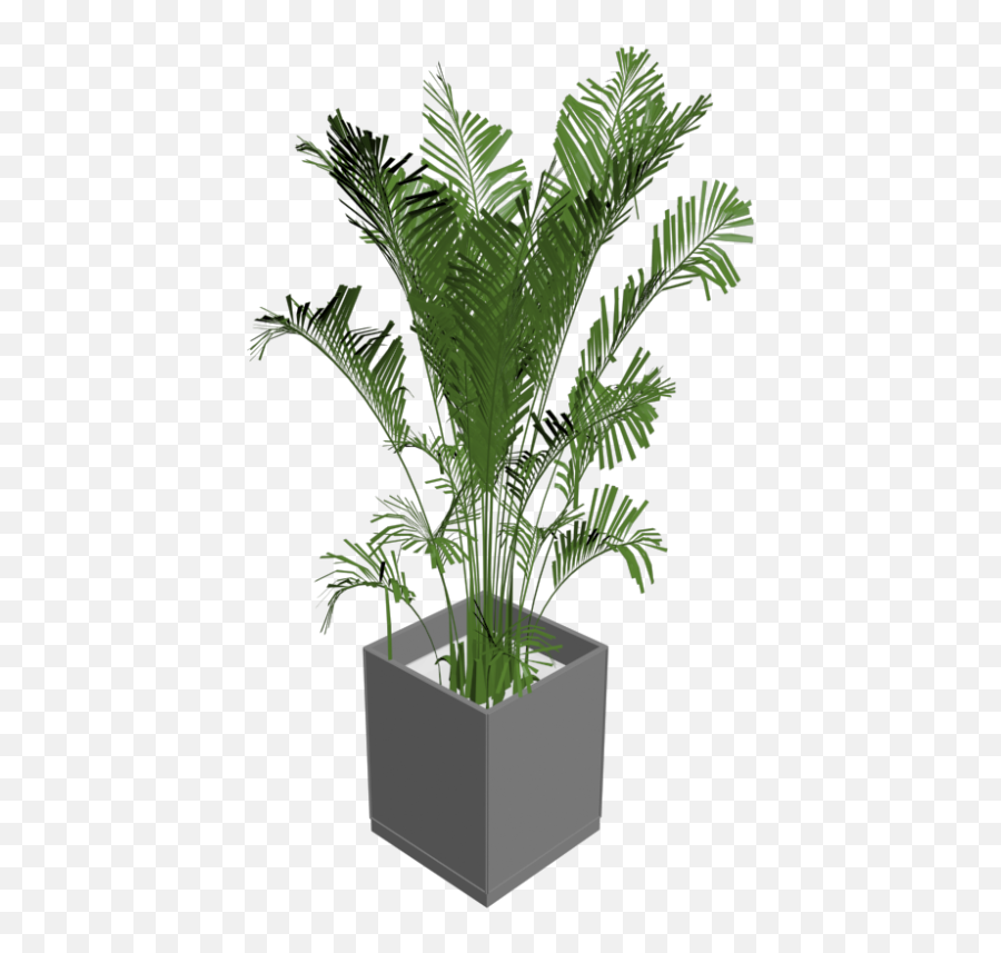 Download Green Indoor Plants Png - Indoor Plants Png,Jungle Plants Png