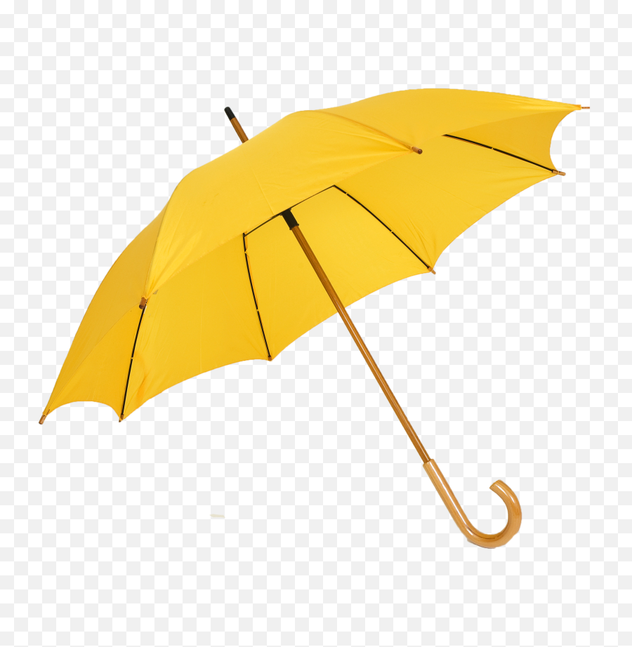 Umbrella - Transparent Background Umbrella Png Clipart Umbrella Png,Shades Transparent Background