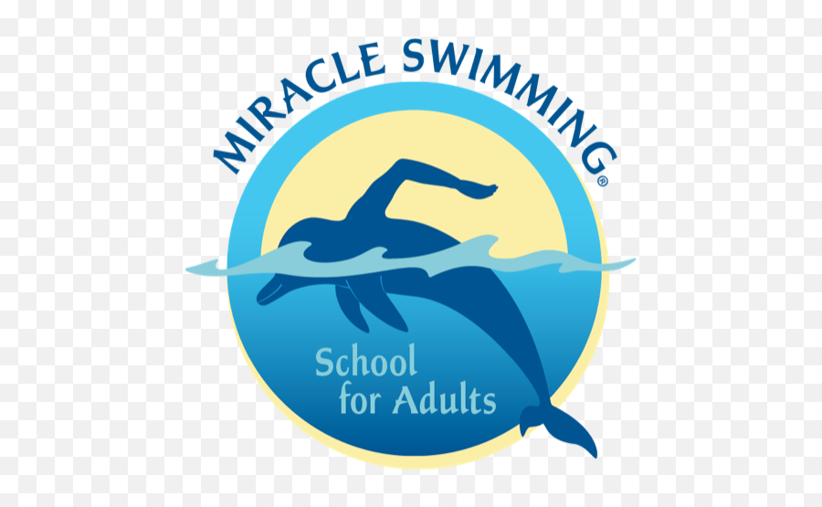 Miracle Swimming School For Adults - Graphic Design Png,Ms Logo