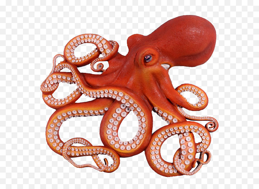 Download Octopus Png Photo - Octopus Png,Octopus Png