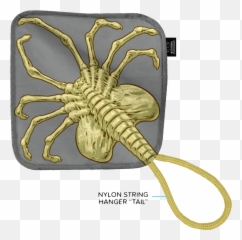Alien Facehugger Face Towel Loot Crate Png Xenomorph