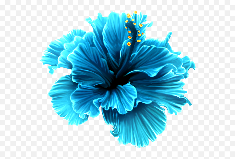 Blue Hibiscus Flower Png U0026 Free Flowerpng - Blue Tropical Flower Clipart,Hibiscus Flower Png