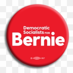 Bernie Buttons - 15 Pack Pk62536 Microsoft Small Business Specialist Png,Bernie Png