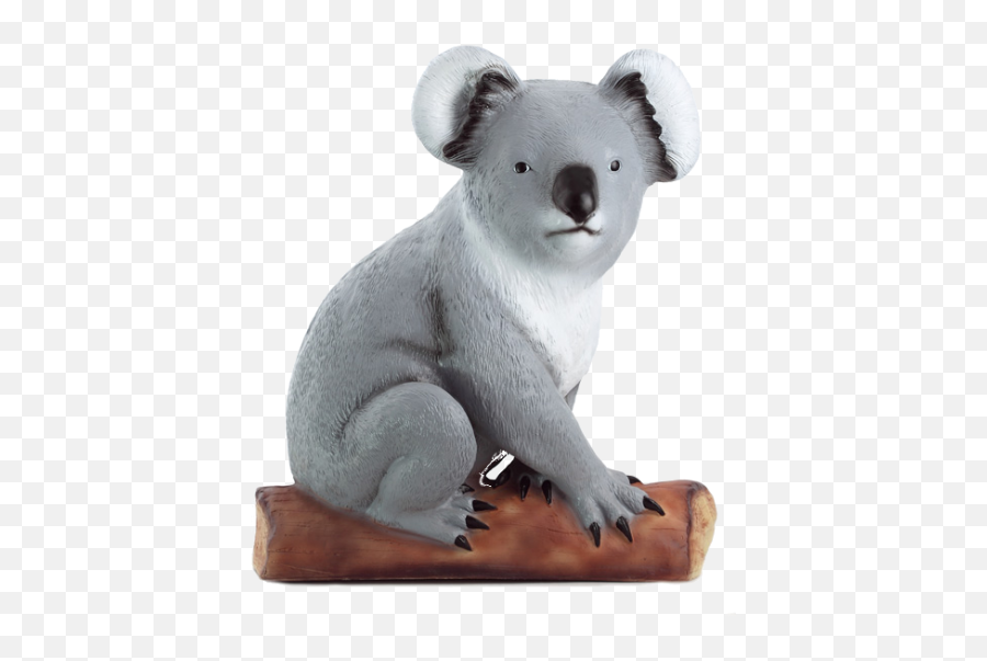 Koala Bear Png