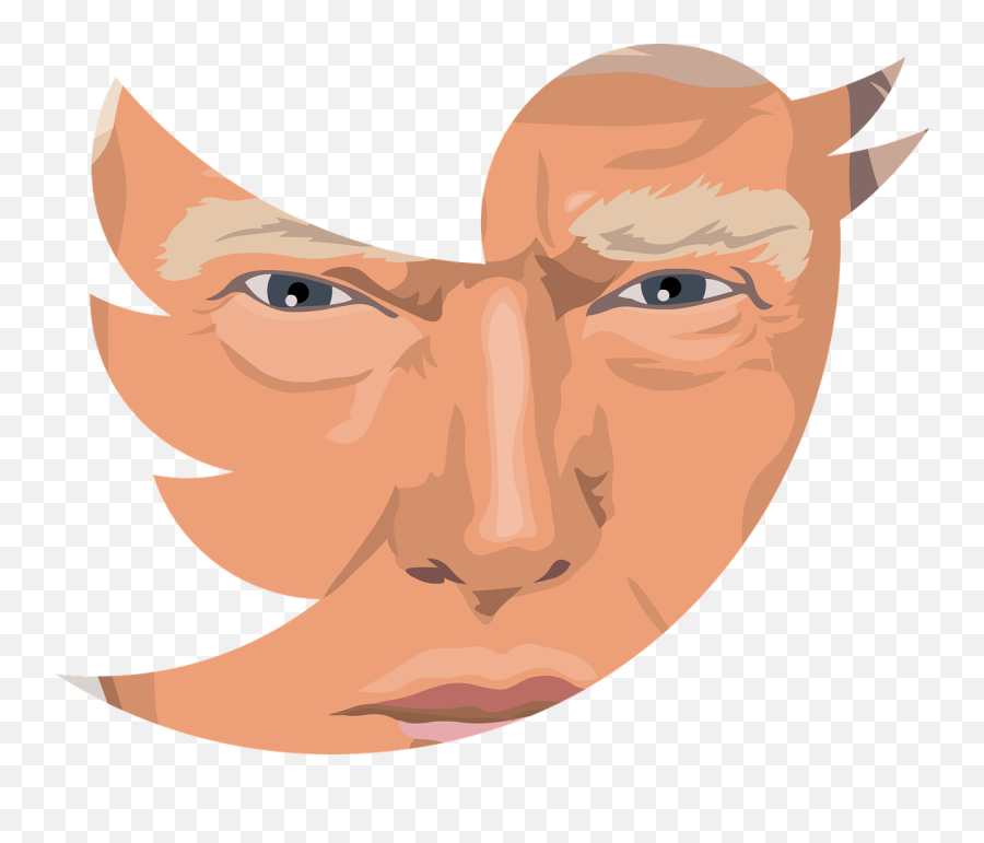 Howu0027d We End Up With Trumpu201d - The Polis Medium Social Media Icons Twitter Png,Trump Head Transparent Background
